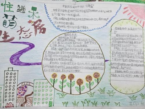 走出家门做环保手抄报环保手抄报