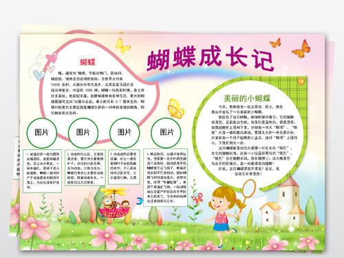 蝴蝶成长记小报昆虫小动物电子手抄报素材
