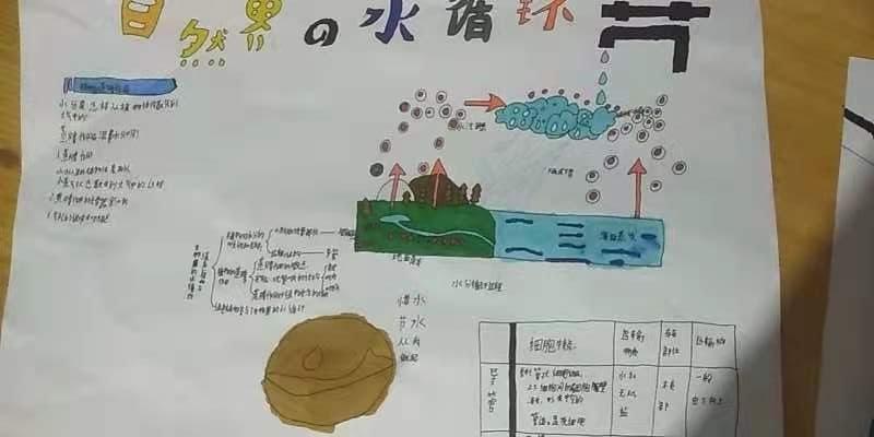 7年5班生物第四期手抄报:蒸腾作用与水循环