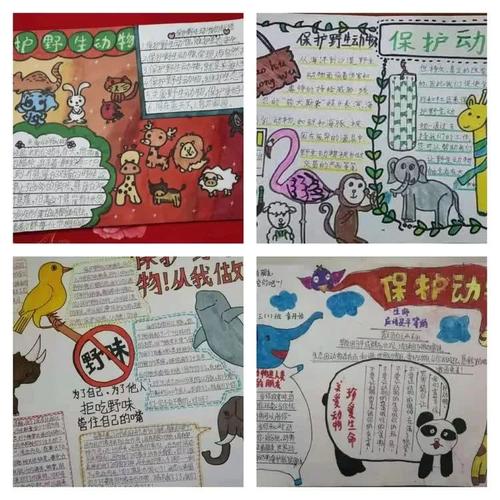 以人与自然和谐共生为题的手抄报 和谐手抄报