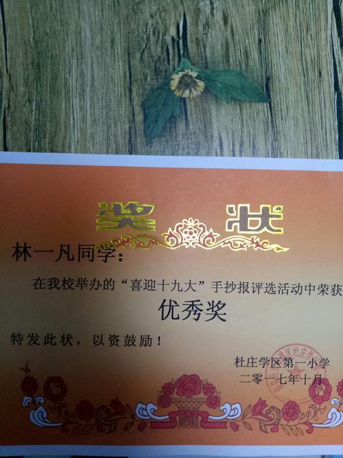 小学生自己画奖状画手抄报 小学生手抄报 小学生自己画奖状画手抄报 小学生手抄报