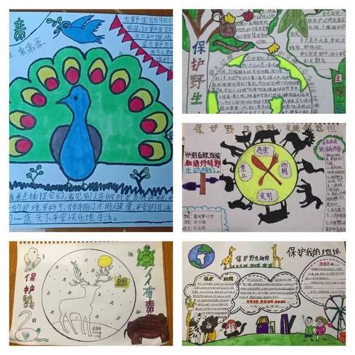 保护穿山甲的手抄报保护手抄报