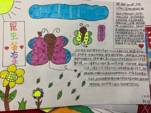 记手抄报图百度知道《昆虫世界》手抄报观察大自然小报 蝴蝶的一生 a4