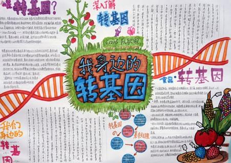 转基因生物手抄报2