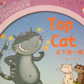 topcat天下第一猫手抄报安全第一手抄报