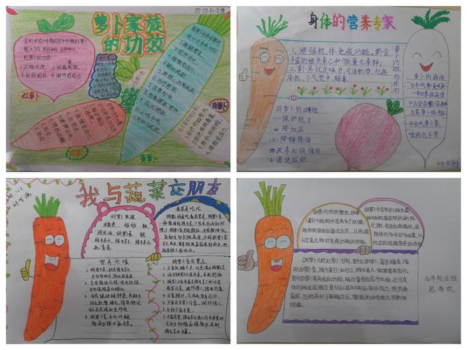 卜的营养价值 同学们回家后还去上网搜集 并制作了精美的手抄报