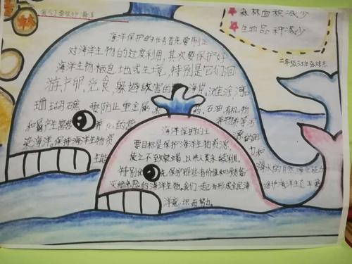 南京路小学二年级三班海洋主题手抄报