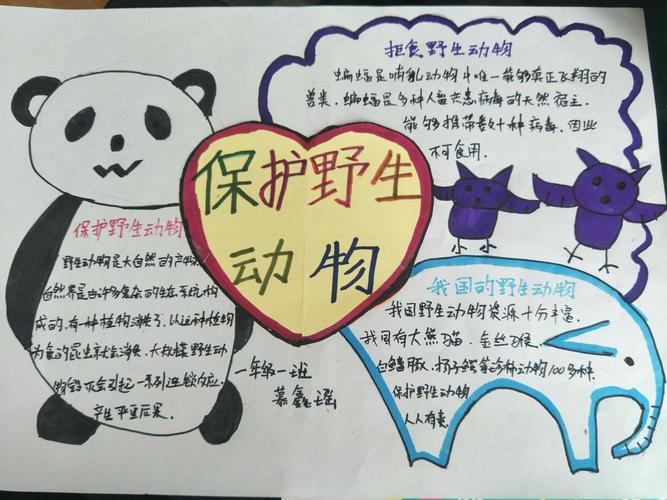 敬畏生命 保护野生动物 榆林高新小学一年级一班手抄报