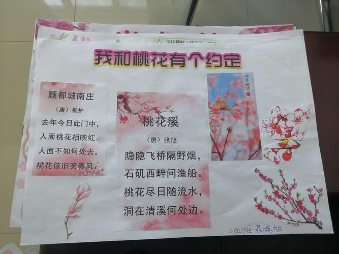 从化区桃花小镇手抄报手抄报版面设计图