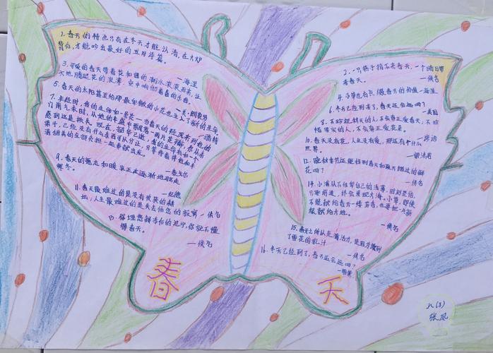 寻觅春天的足迹学生手抄报展---胜男