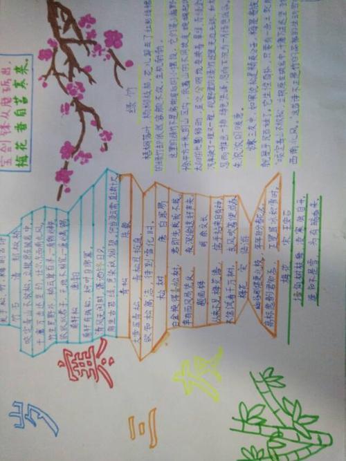 关于海棠树的手抄报树的手抄报