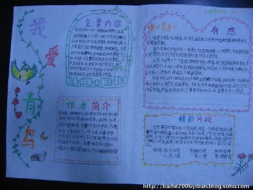 四年级的手抄报鸟儿鸟儿飞进手抄报 手抄报模板大全读书小报马克笔手