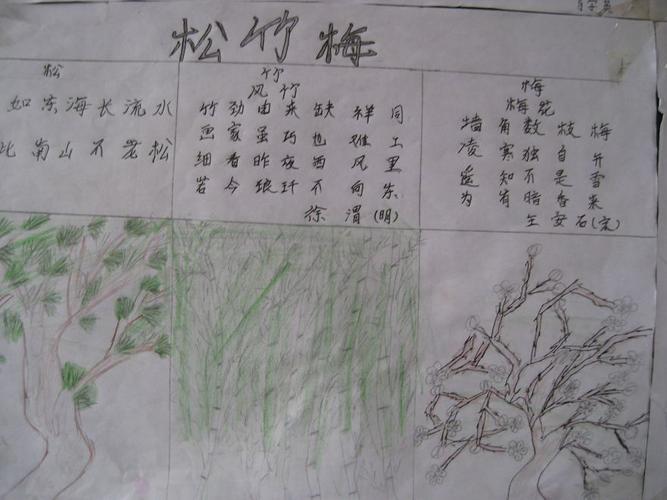 漕麦二班竹文化手抄报