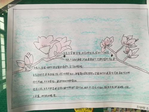 关于兰花的简单手抄报 花的手抄报二年级画迎春花的手抄报 二年级手