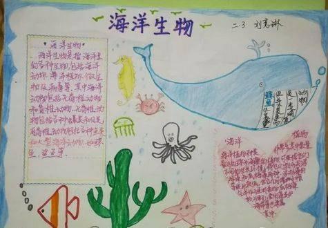 简单又好看的贝类手抄报简单好看的手抄报二年级用贝壳做手抄报二年级