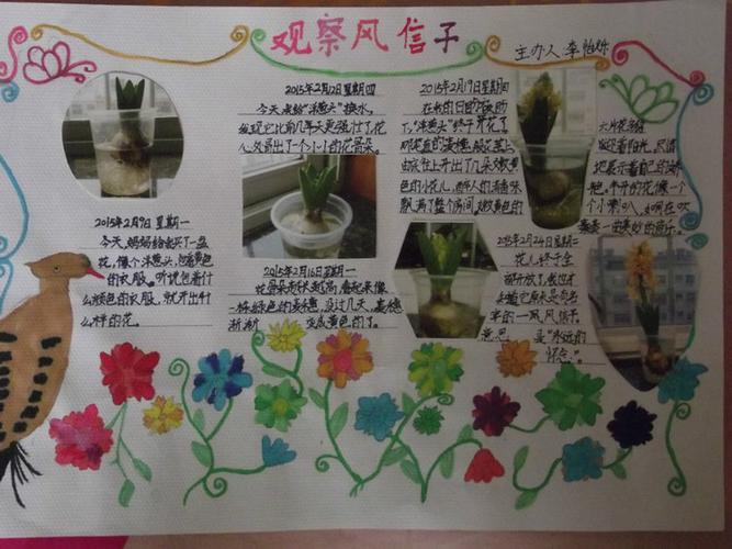 寒假作业 观察植物生长手抄报龙虎榜