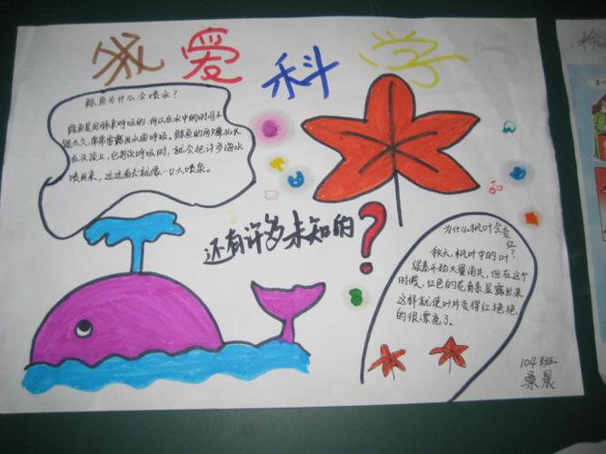 关于科学手抄报内容