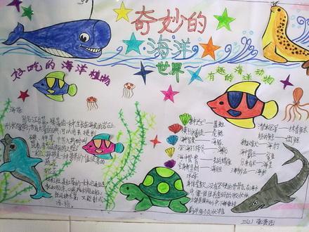 海底世界手抄报图片大全