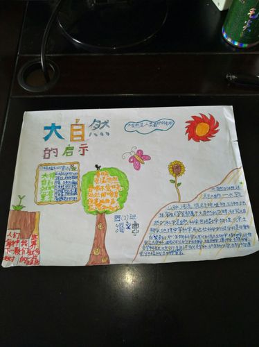 江城小学四年级二班《走进大自然》手抄报精彩作品展示