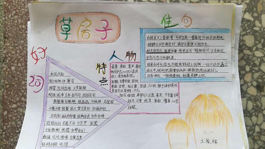 快乐阅读 辛福成长 思源实验学校六一班共读《草房子》手抄报展