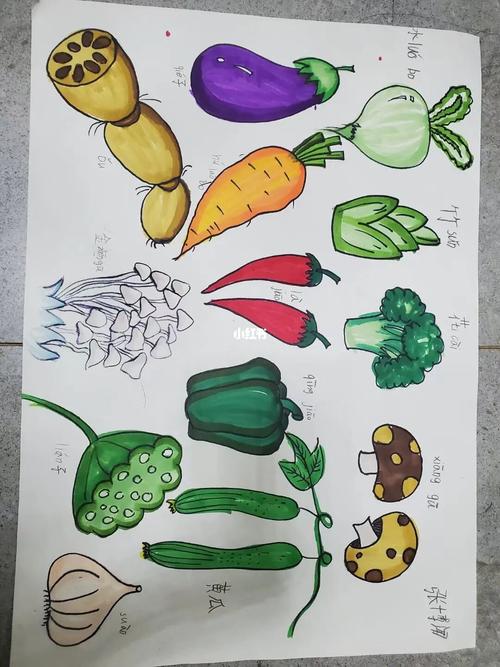 蔬菜手抄报