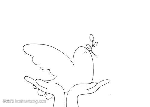 放飞和平鸽手抄报 放飞梦想手抄报以梦为伴方能不负韶华主题系列活动 放飞和平鸽手抄报 放飞梦想手抄报以梦为伴方能不负韶华主题系列活动