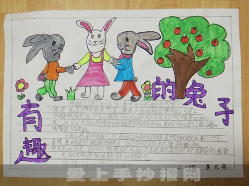 用a4纸画兔子的手抄报关于兔子的手抄报