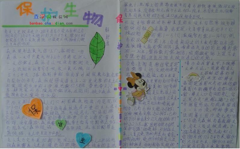 生物世界手抄报
