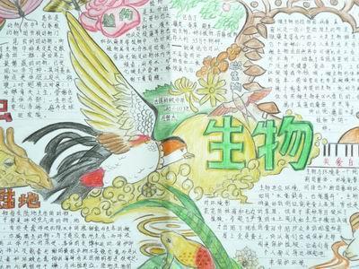 关于科学家的故事手抄报内容首页 手抄报素材 生物有关的手抄报 关于