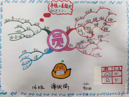 泰山学校六年级假期数学作业-优秀手抄报及思维导图展示