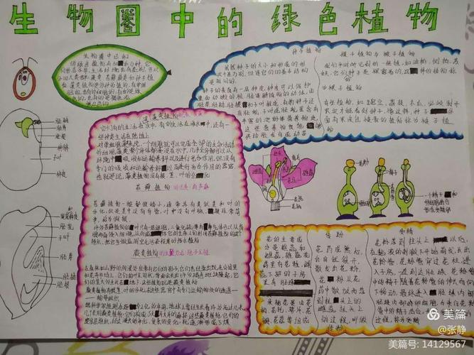 科尔沁实验初中七年17班生物手抄报第二期