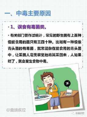 不吃野生蘑菇手抄报手抄报模板大全