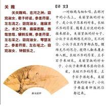 关于关雎的手抄报手抄报图片大全