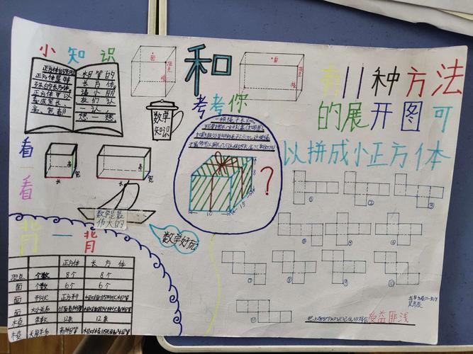 观察物体图形运动长方体和正方体手抄报数学图形手抄报