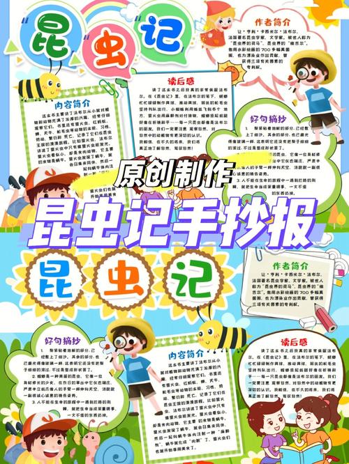 08昆虫记手抄报08 08昆虫记手抄报08