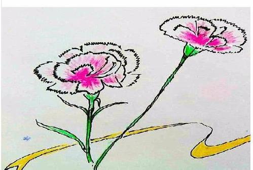 视频-亲子简笔画:献给妈妈的康乃馨 适合宝宝 小学生的母亲节手抄报