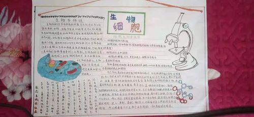 生物手抄报第一期 写美篇一般来说细菌等绝大部分微生物以及原生动物