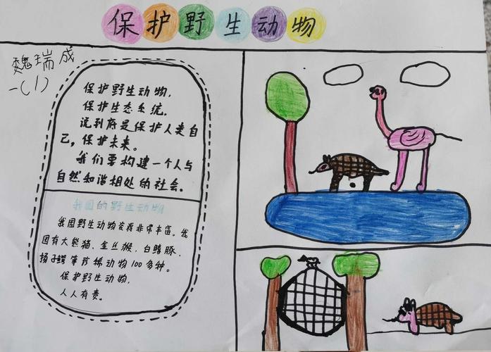 敬畏生命 保护野生动物 榆林高新小学一年级一班手抄报