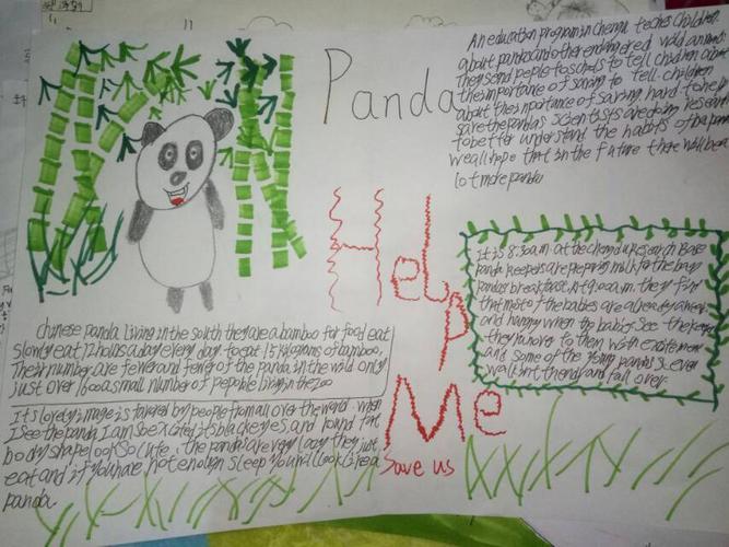 第1页animalfriends手抄报手抄报图片大全集有关熊猫的英语手抄报