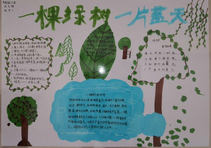 一棵绿树 一片蓝天 濮阳市实验小学五 7 班手抄报展示