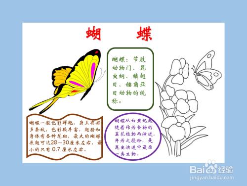 蜗牛与蝴蝶读后感手抄报 手抄报简单又好看