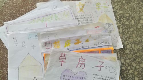 快乐阅读 辛福成长 思源实验学校六一班共读《草房子》手抄报展