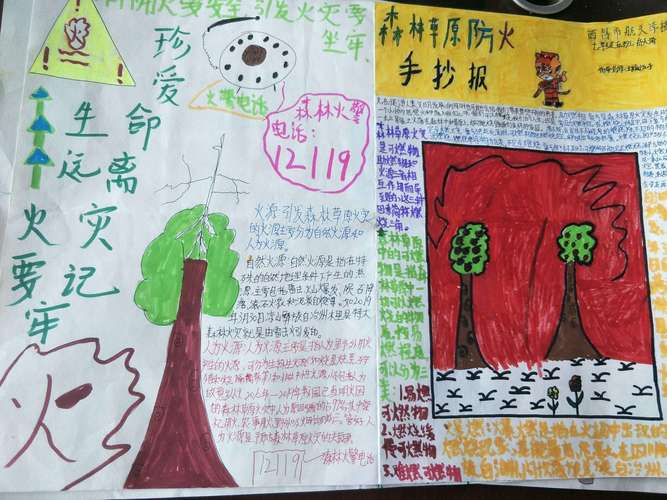 护林防火 人人有责 航天学校初2023级5班森林草原防灭火手抄报