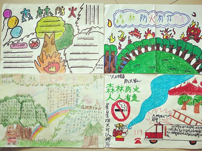 每人画一期关于森林防火手抄报.