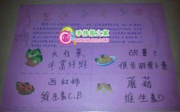 寿光菜博会蔬菜手抄报手抄报简单又漂亮