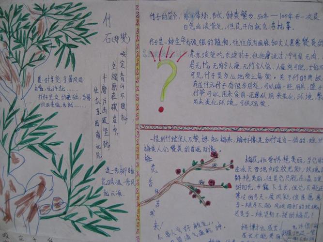 漕麦二班竹文化手抄报