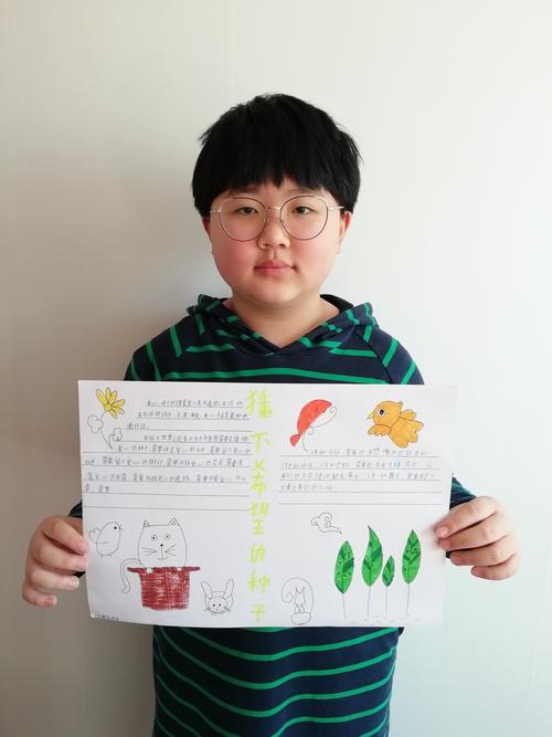 其它 播下希望的种子 写美篇同学们亲手绘制插下希望种子的手抄报.