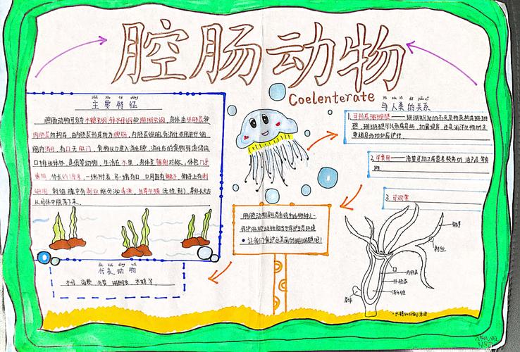 厉害了 我们的生物手抄报 记铜川市第一中学第三学部生物备课组迎