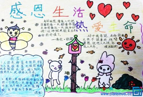 关于彩虹鸽的手抄报 关于孝的手抄报
