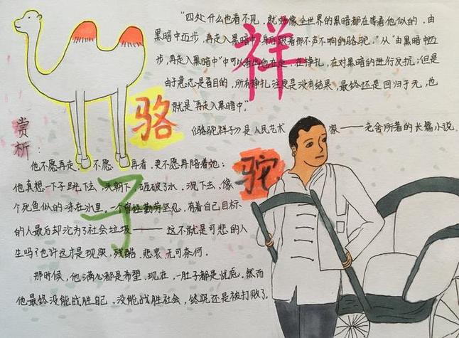 祥子和曹先生的关系手抄报骆驼祥子手抄报